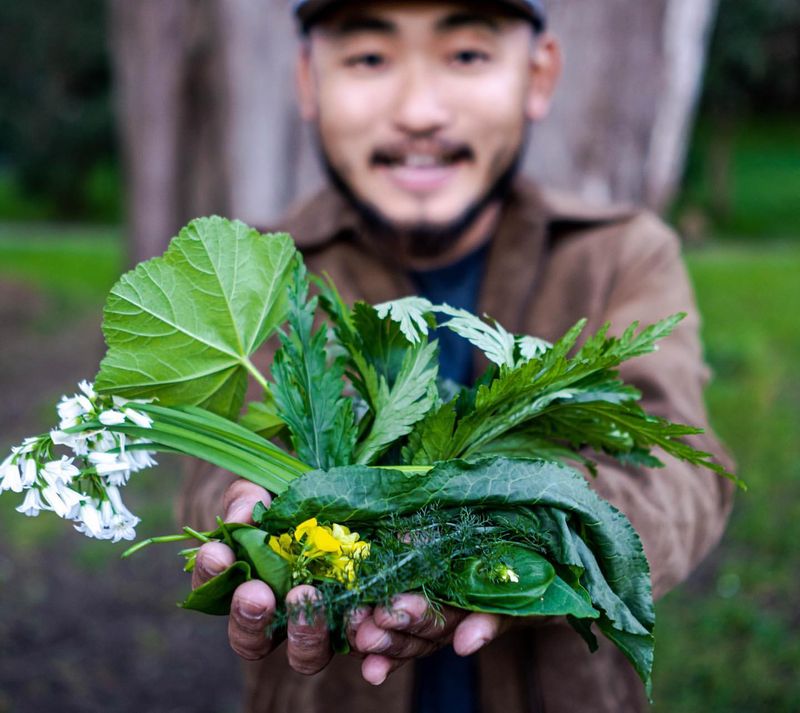 Edible Greens
