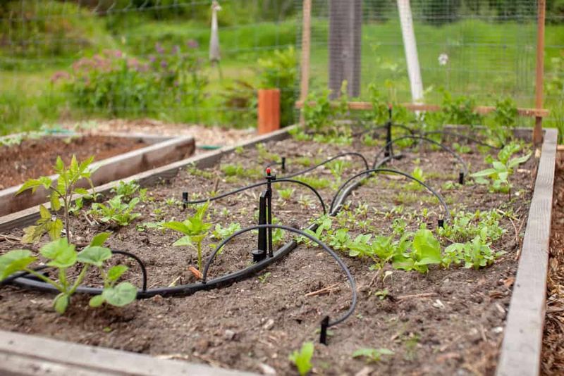 Efficient Irrigation Systems
