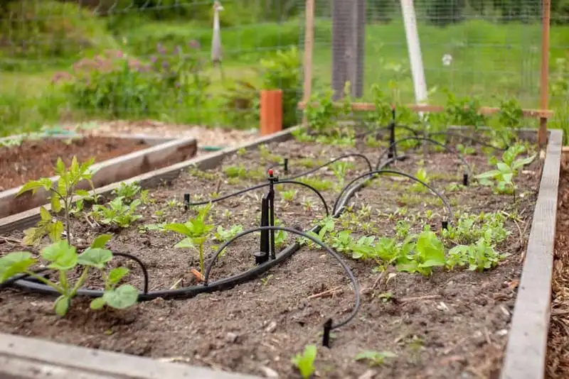 Efficient Irrigation Systems