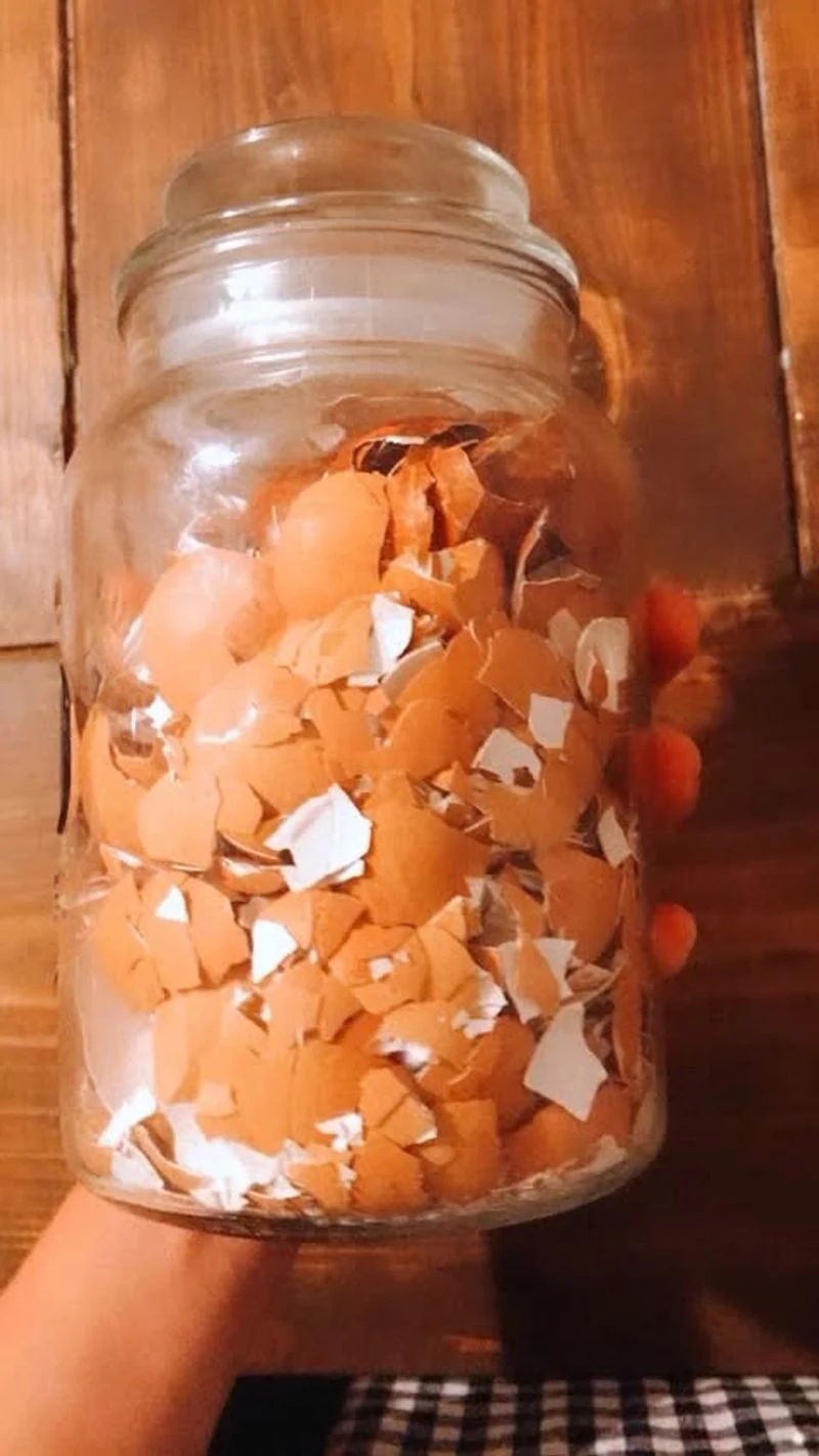 Eggshell Calcium Booster