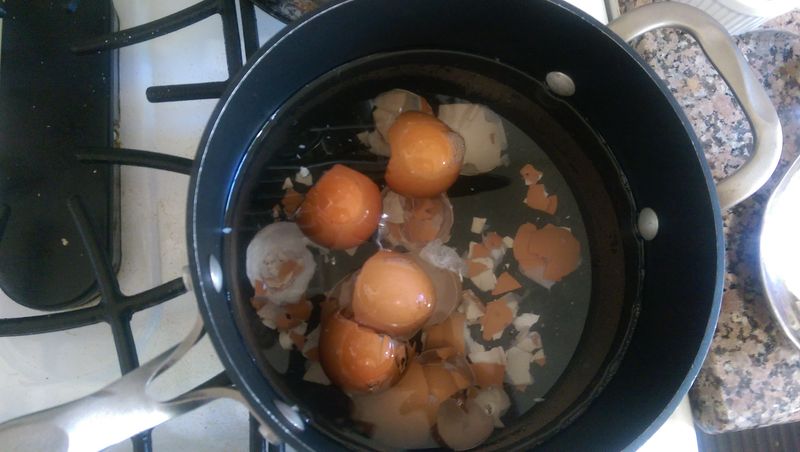 Eggshell Tea