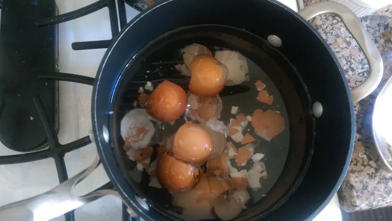 Eggshell Tea