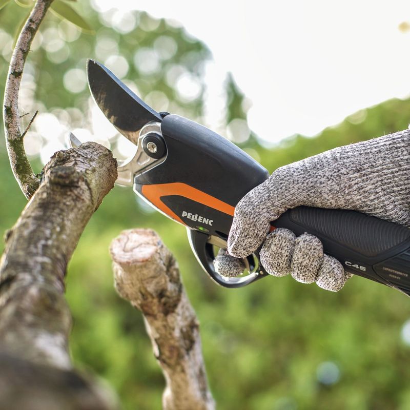 Electric Pruning Shears
