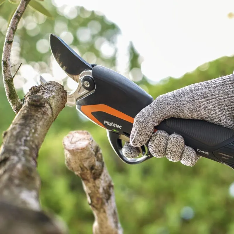 Electric Pruning Shears