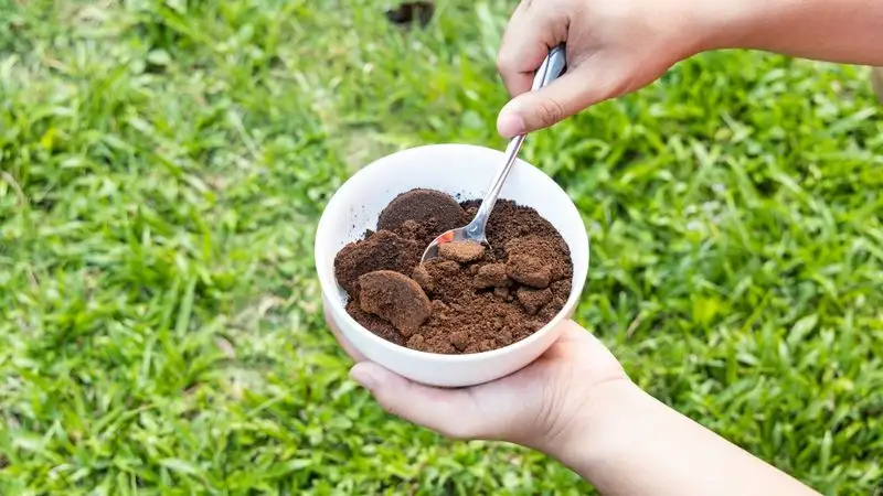 Enhance Seed Germination