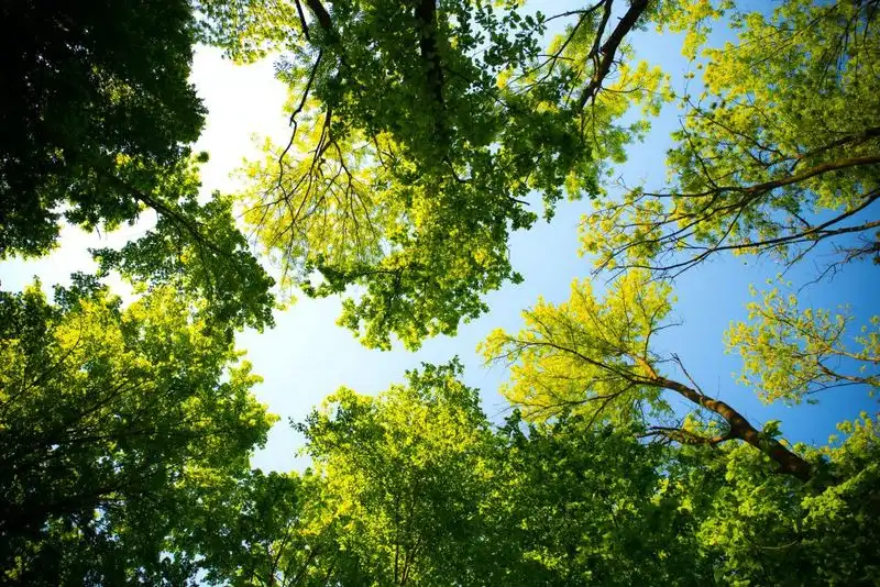 Enhanced Air Quality