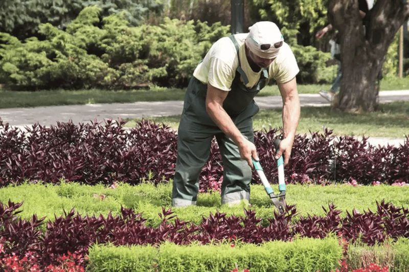 Enlist a Gardening Service