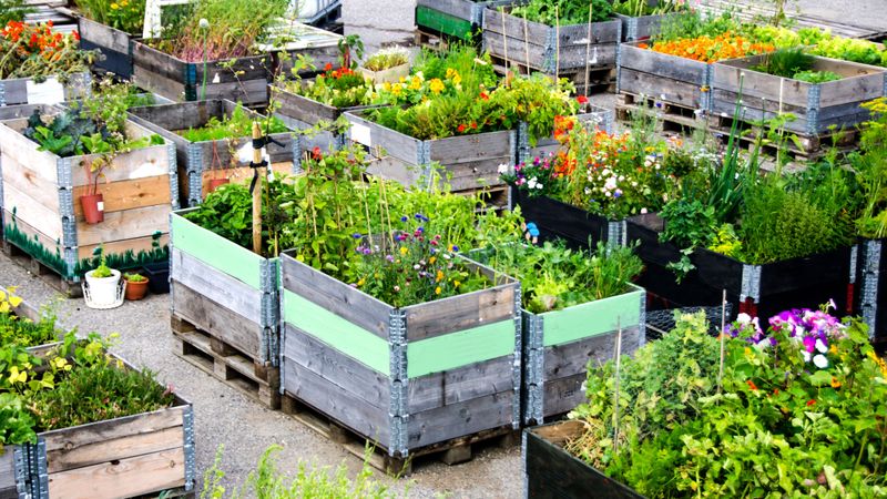 Environmental Benefits
