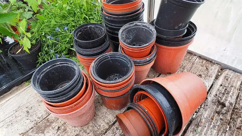 Environmental Impact