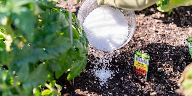 Epsom Salt Plant Booster