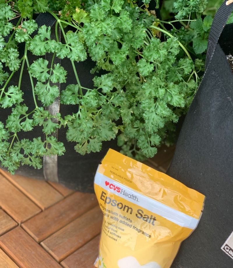 Epsom Salt for Greener Leaves