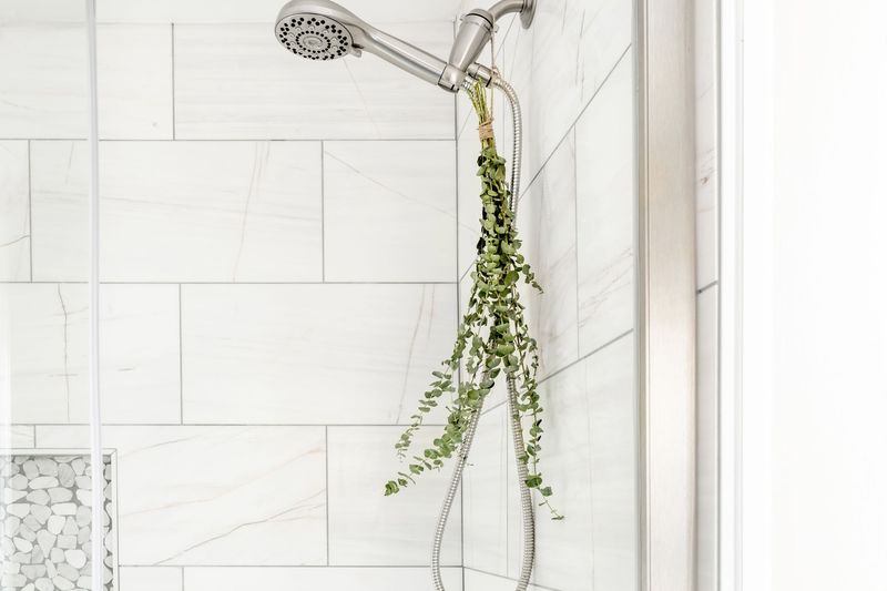 Eucalyptus Shower Bundles