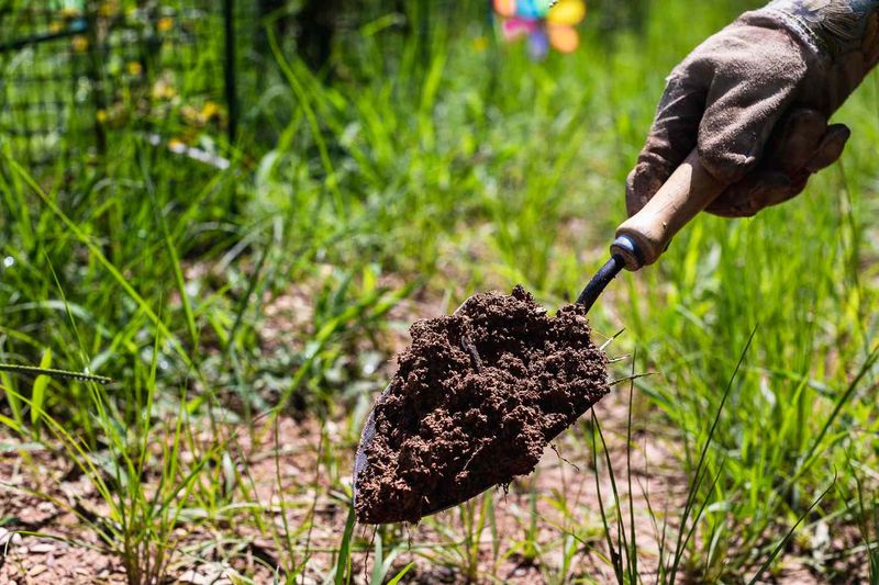 Excessive Fertilizer