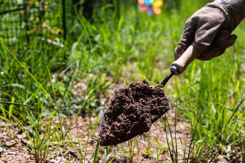 Excessive Fertilizer