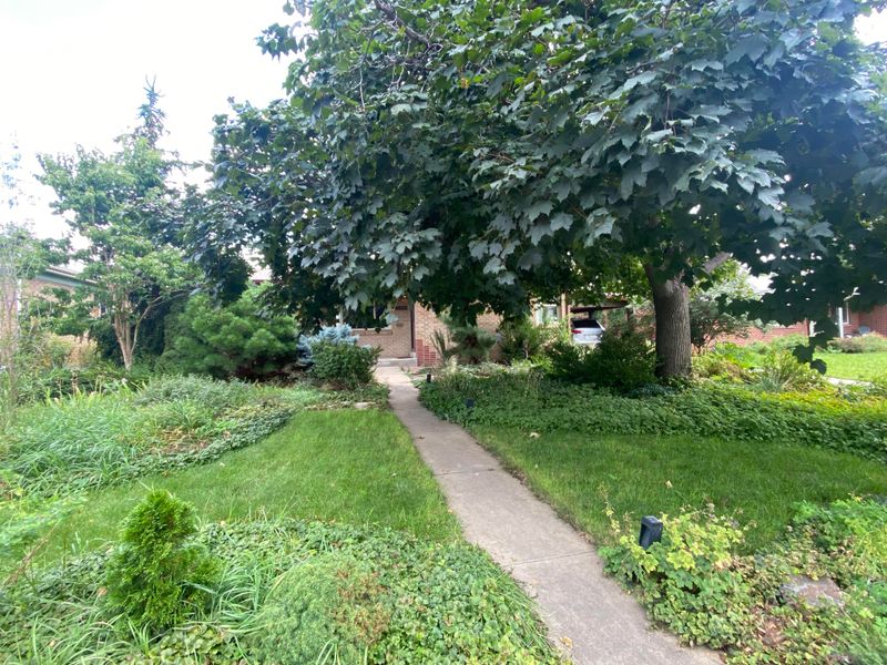 Neglected Trees