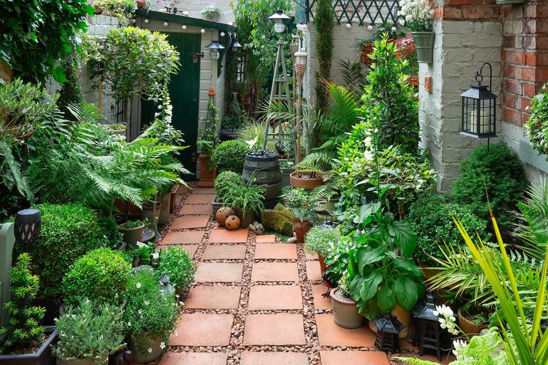 Excessive Topiary