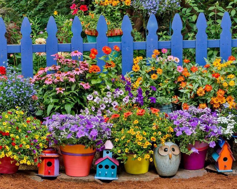 Excessive Use of Garden Ornaments