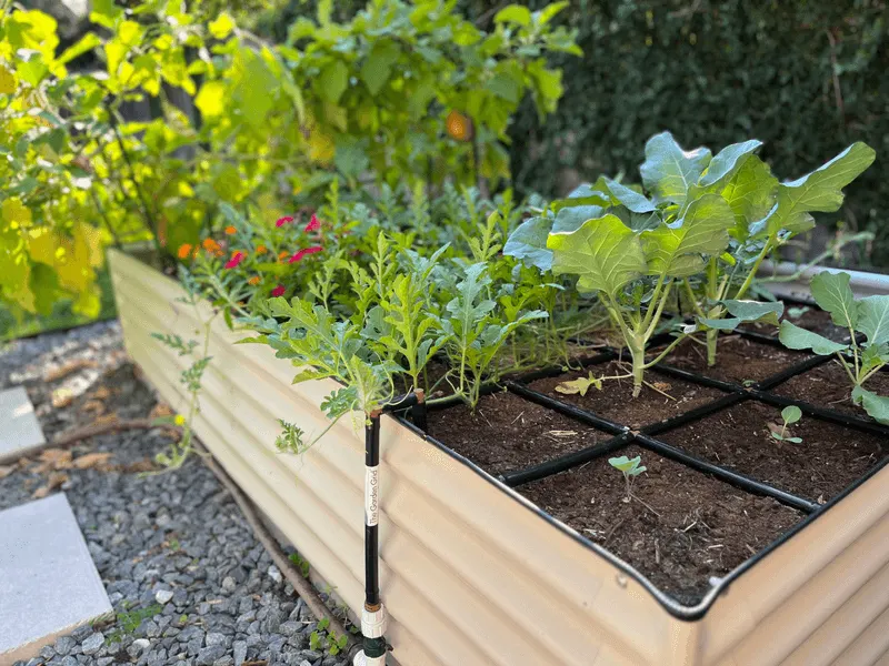 Fail #5: Poor Drainage Setup