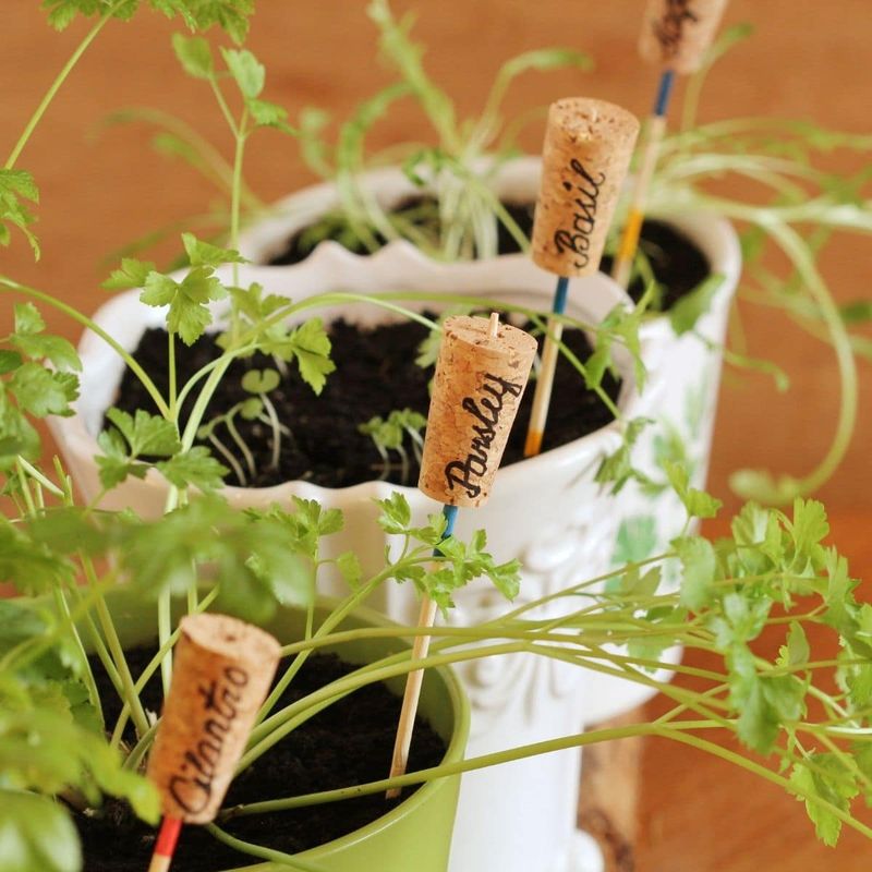 Failing to Label Plants