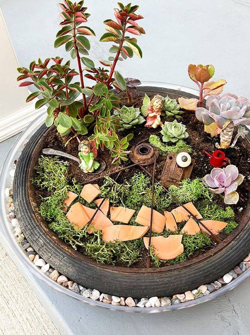 Fairy Garden