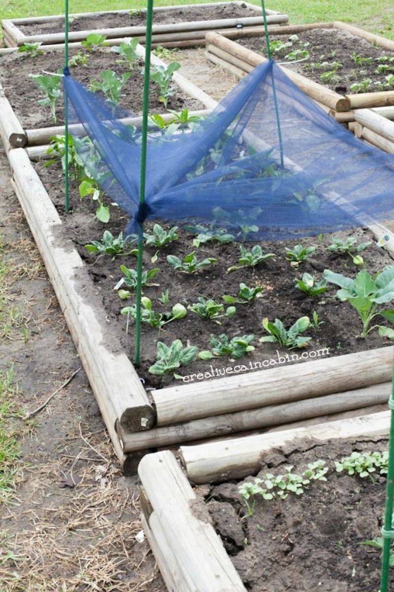 Shade Cloth or Plant Tie Wraps