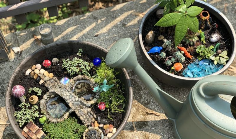 Fairy Garden in a Container