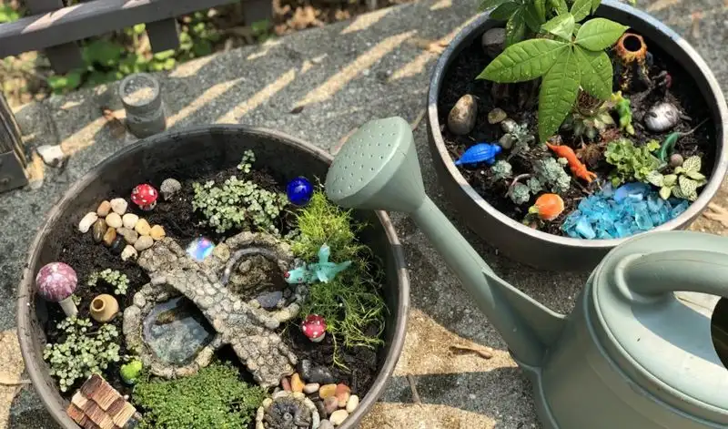 Fairy Garden in a Container