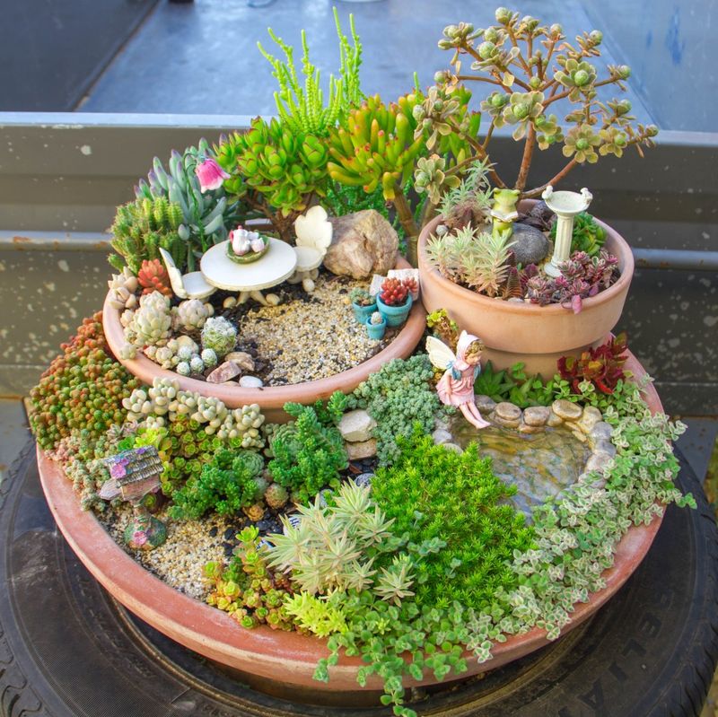 Fairy Garden in a Pot