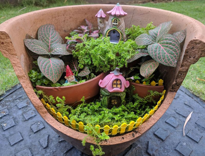 Fairy Garden