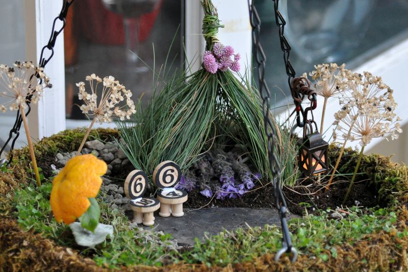 Fairy Gardens