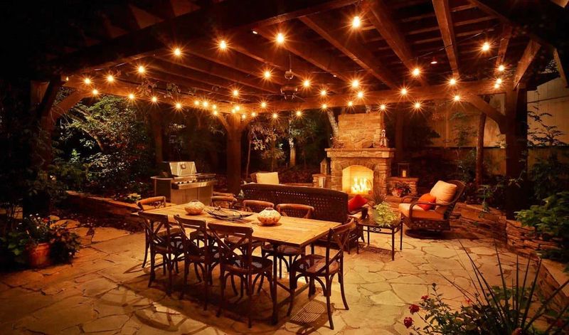 Fairy Lights Among Plants