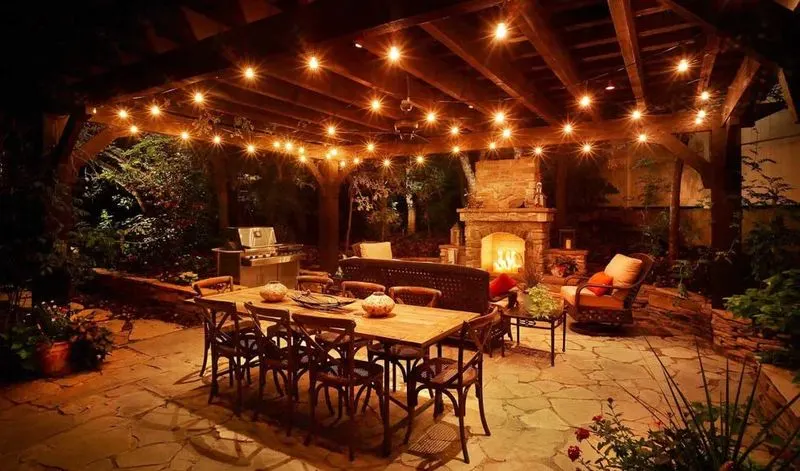 Fairy Lights Among Plants