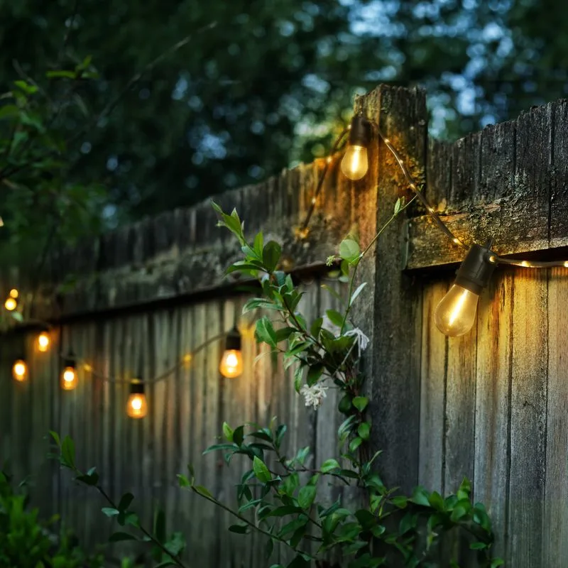 Fairy Lights