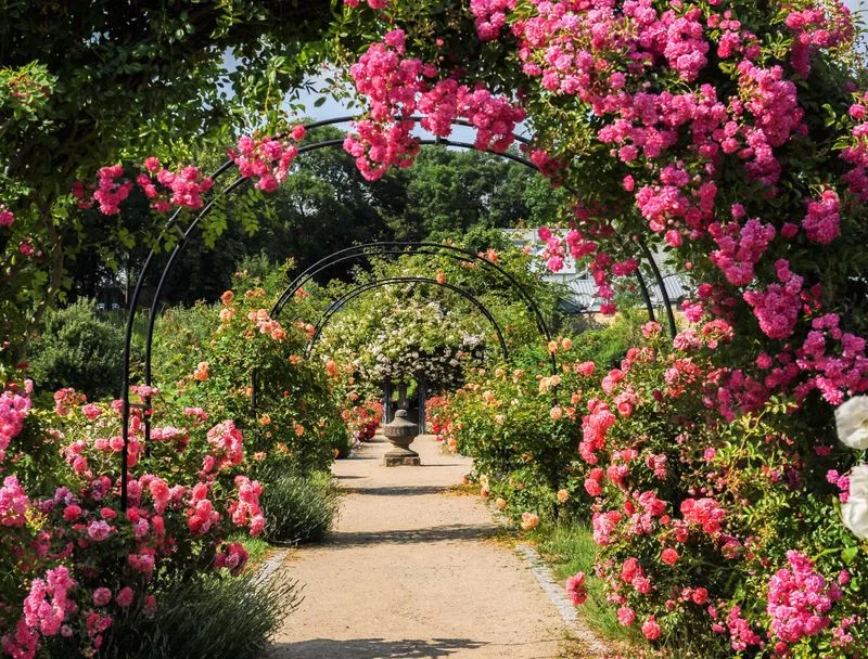 Fairy Tale Garden