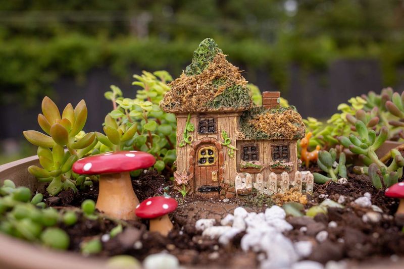 Fairy Tale Garden