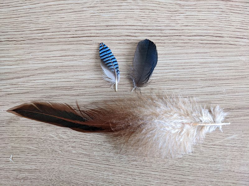 Feathers