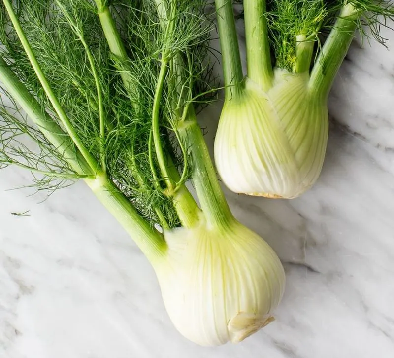 Fennel