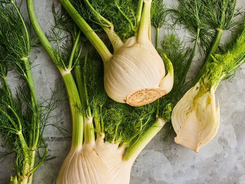 Fennel & Most Vegetables