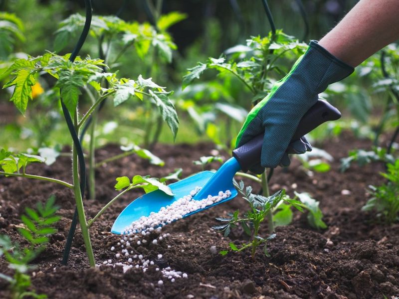 Fertilizing