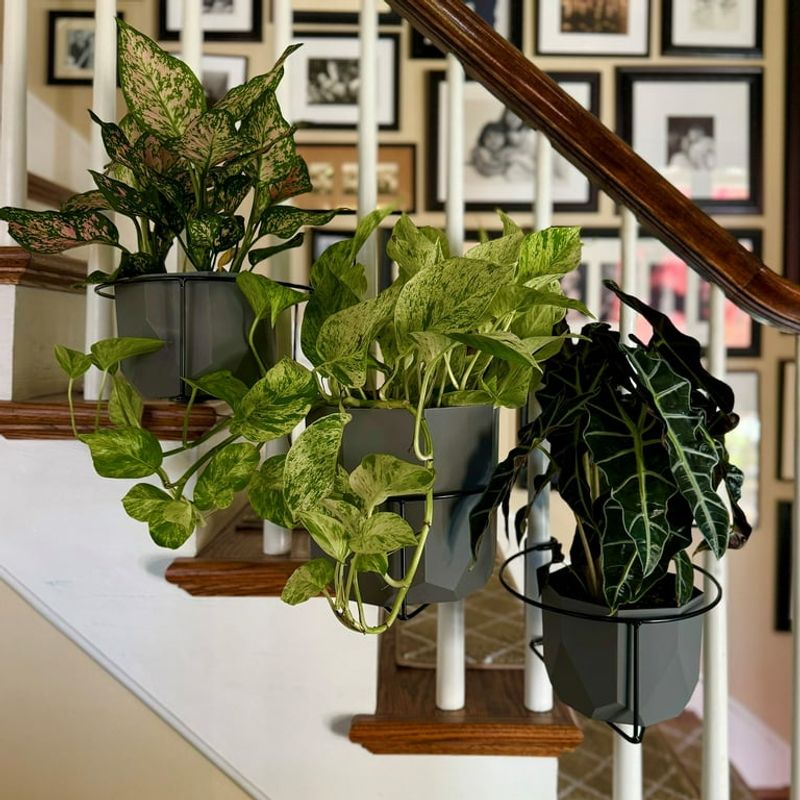 Floating Plant Frames