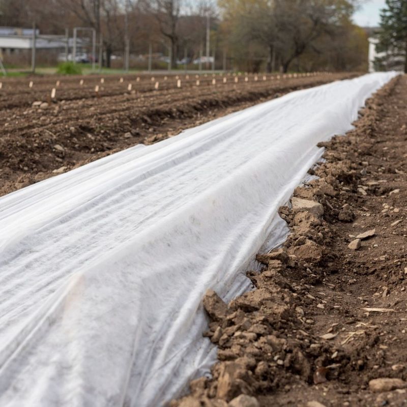 Floating Row Covers
