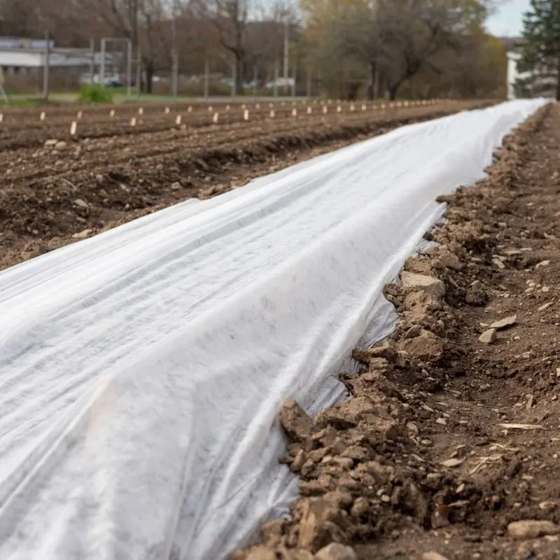 Floating Row Covers