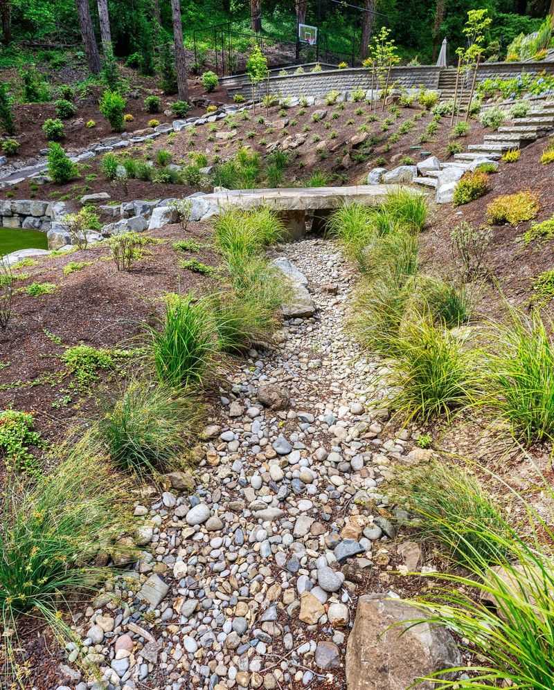 Rain Gardens or Sustainable Drainage Solutions