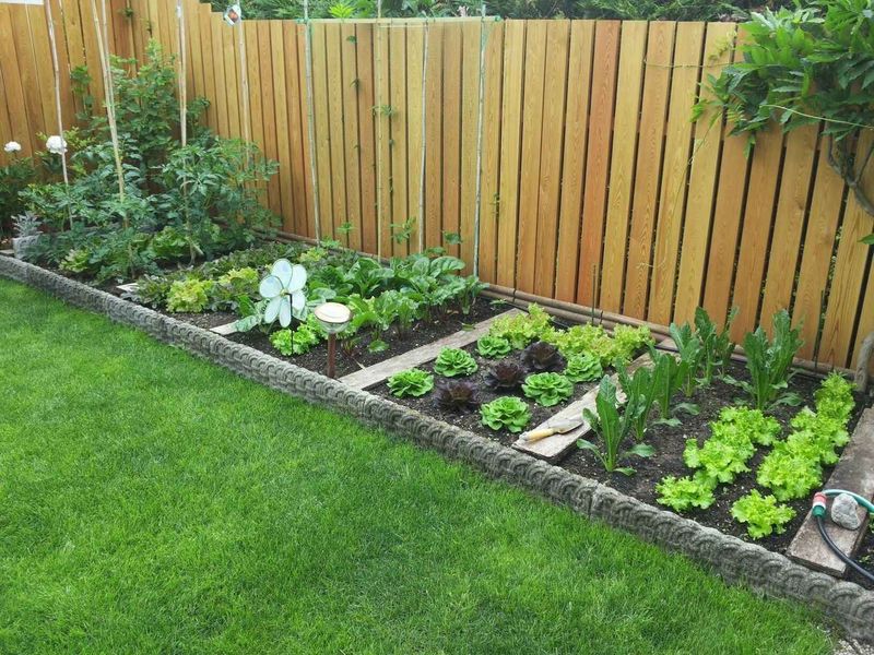Focusing Solely on Soil Surface