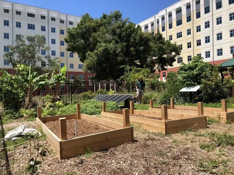 Food Forests in Public Spaces