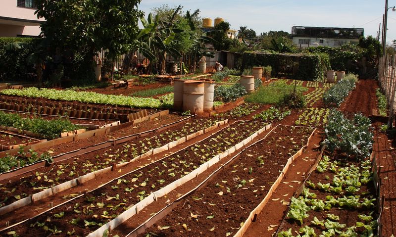 Food Security