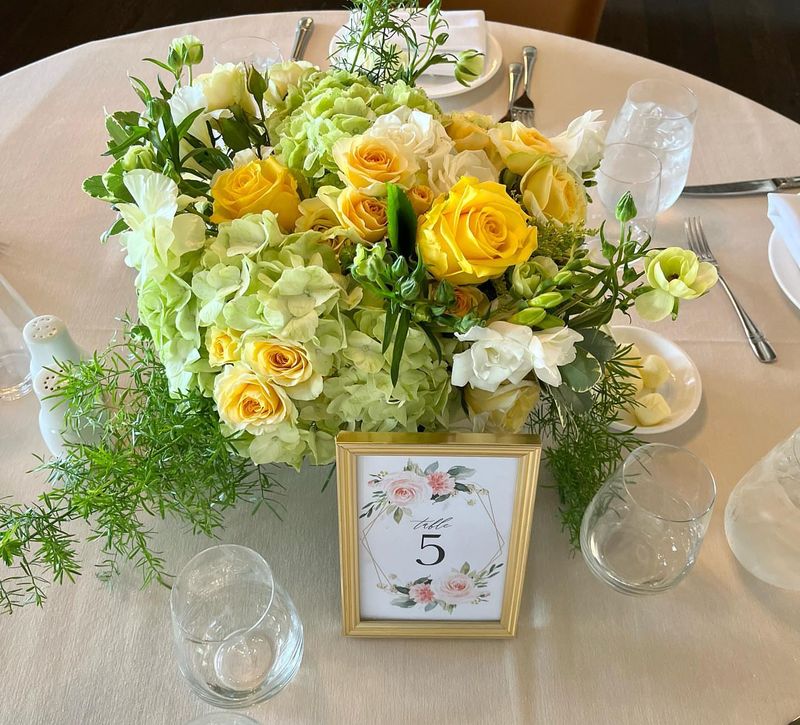 Freesia