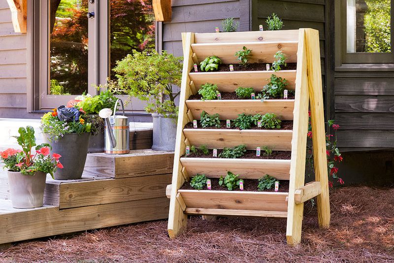 Fresh Herb Garden