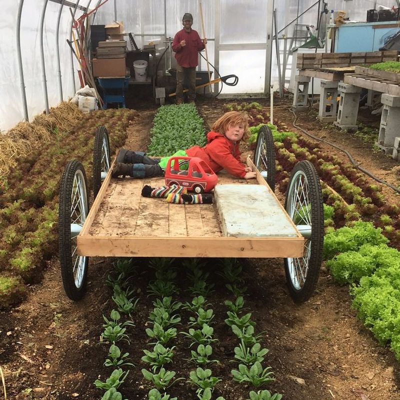 Garden Cart