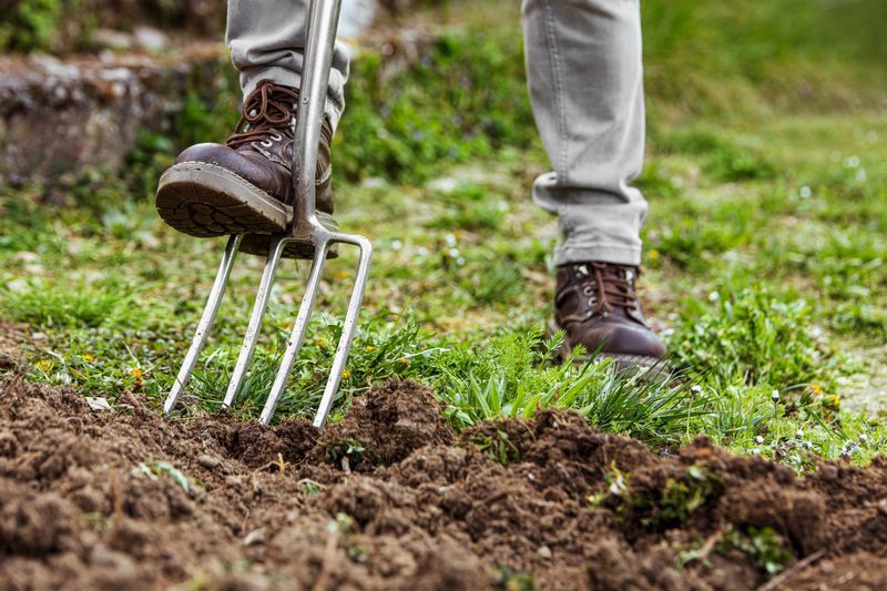 Garden Fork